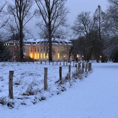 Winter im Schloßpark