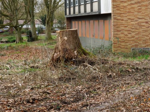 Alkenrath April 2023