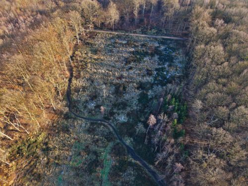 Bürgerbusch Rodungsfläche 5