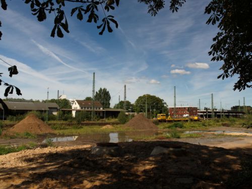 2010