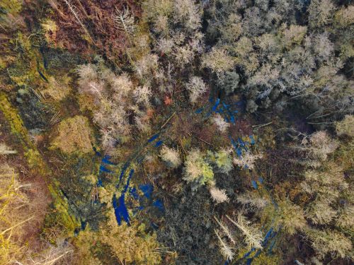 Bürgerbusch Rodungsfläche 3