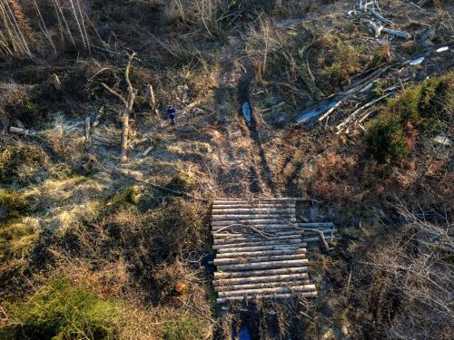 Bürgerbusch Rodungsfläche 3