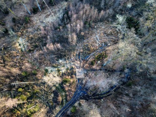 Bürgerbusch Rodungsfläche 3