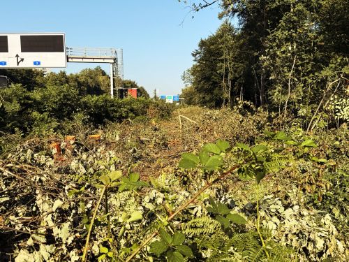 Neben der A1