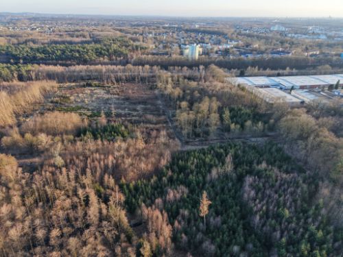 Bürgerbusch Rodungsfläche 1