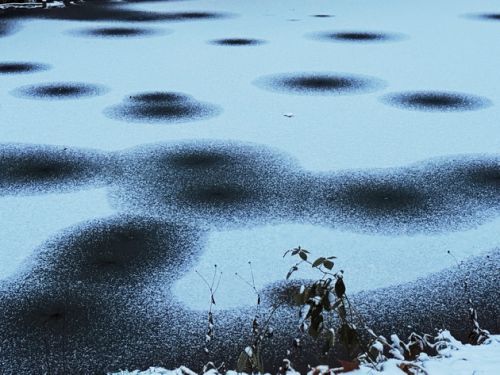 Schloßpark Morsbroich