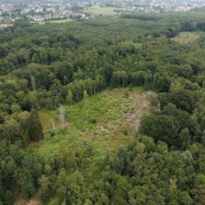 Bürgerbusch Rodungsfläche 4