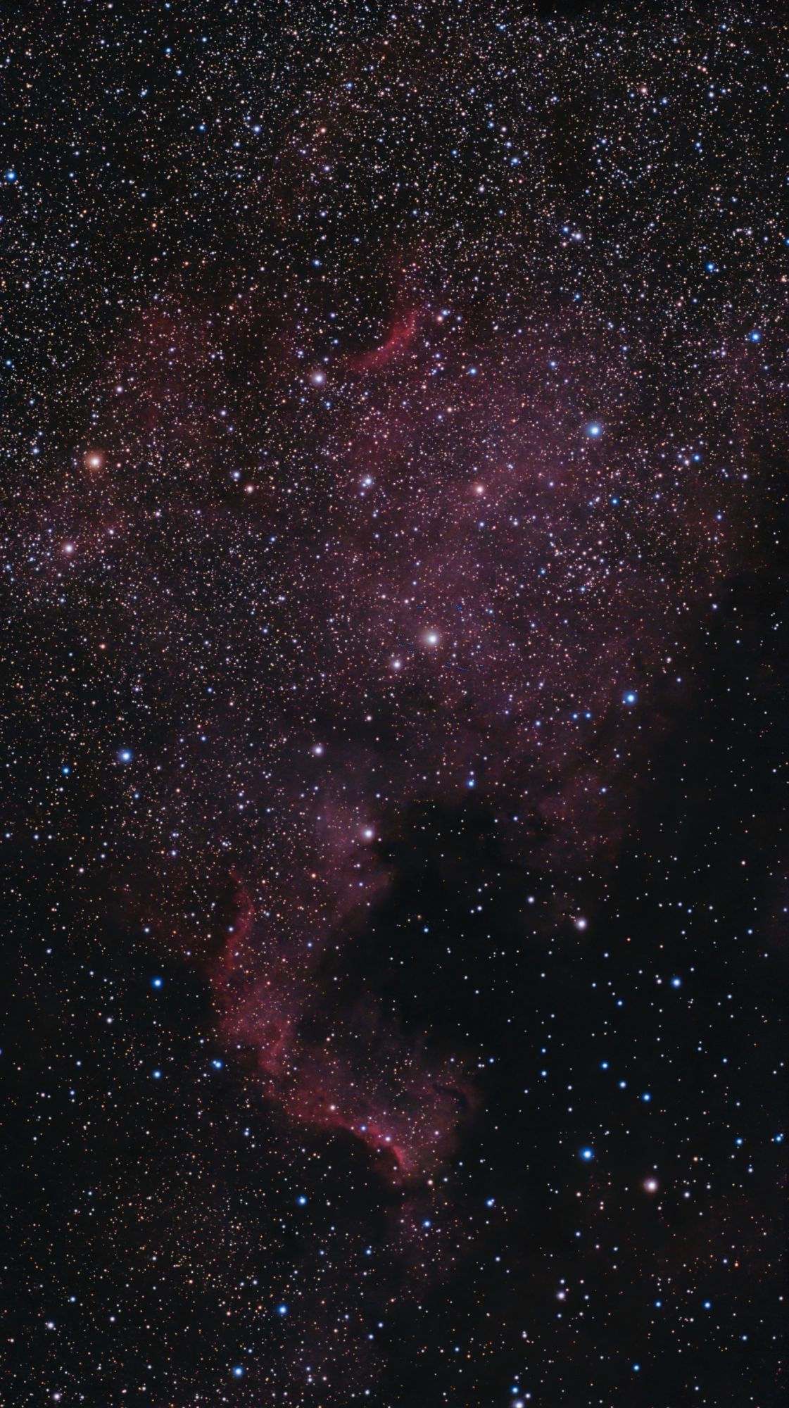 C20