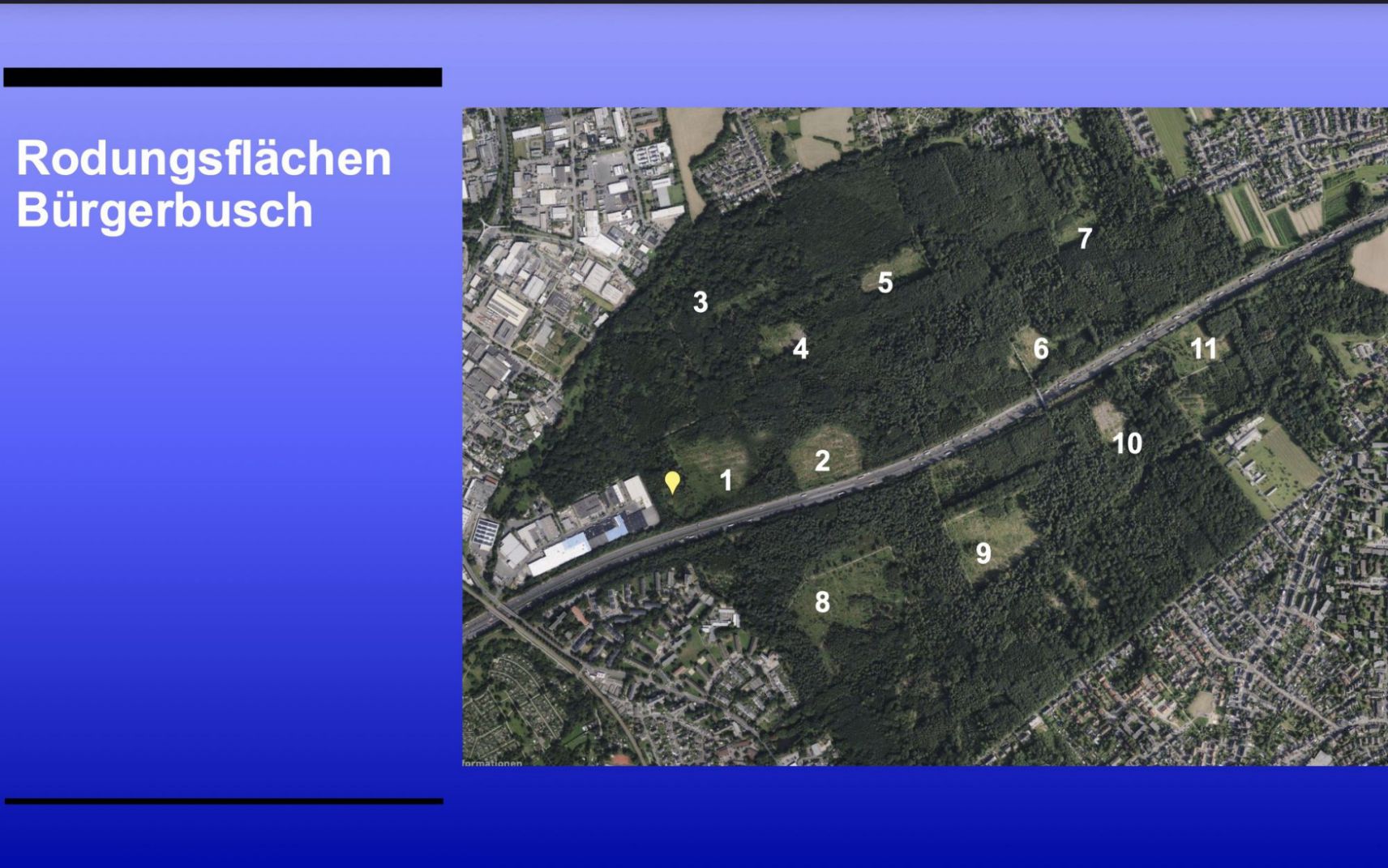 Rodungsflächen